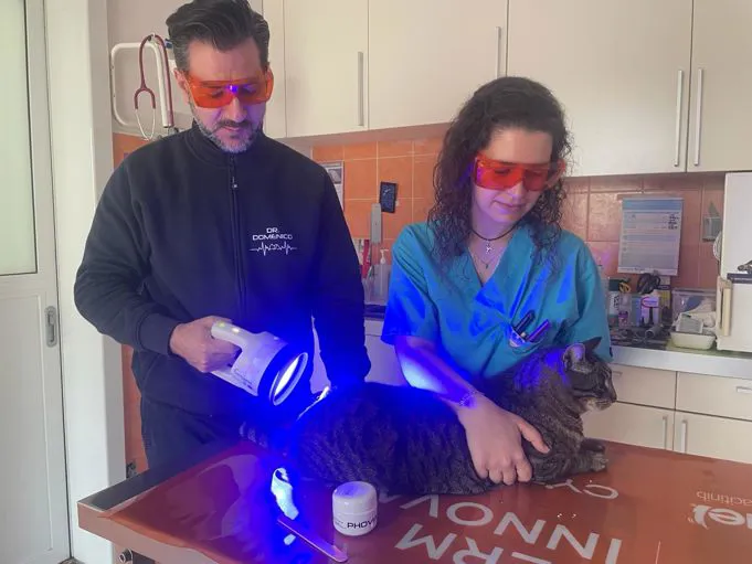 PHOVIA riparazione cutanea con la luce