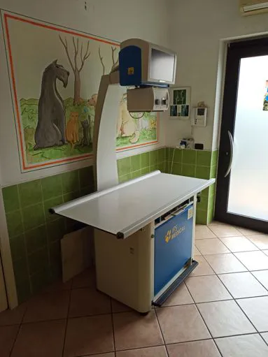 Servizio di esami radiografici