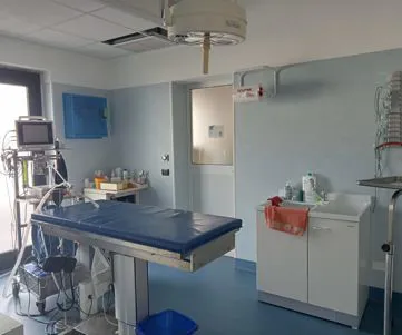 Ambulatorio