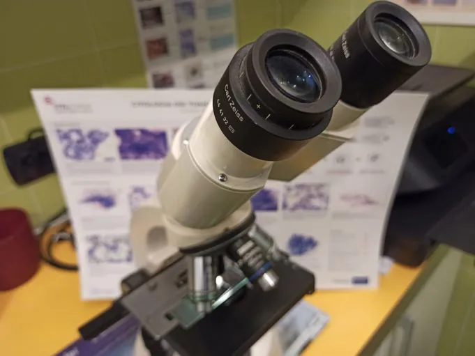 Servizio di esami di laboratorio
