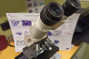 Servizio di esami di laboratorio